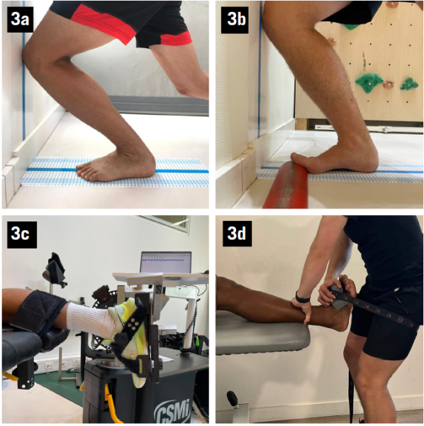 Aspetar Sports Medicine Journal - THE ROLE OF FOOT-ANKLE COMPLEX IN  REHABILITATION AFTER ACL RECONSTRUCTION